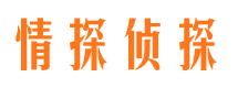 东港市调查公司